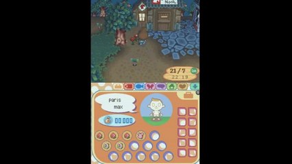 Animal Crossing : Wild World, Le déménagement