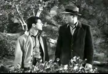 Panic In The Year Zero (1962) American Nuclear Holocaust [full movie]