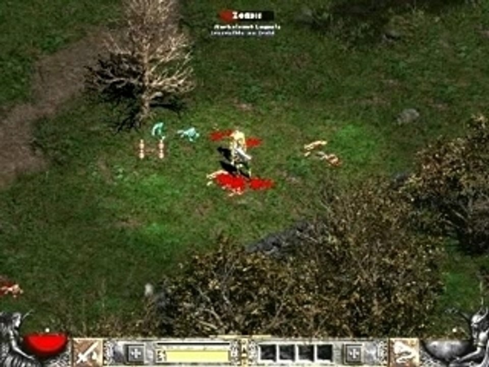 Diablo II Paladin