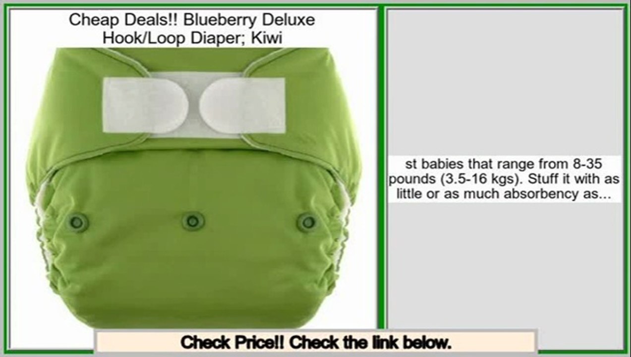 Best Value Blueberry Deluxe Hook/Loop Diaper; Kiwi
