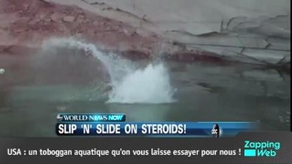 Zapping Web : Attaqué, un pêcheur se bat avec un requin !