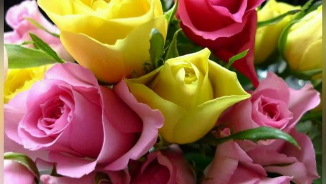 Jab Jab Dekhun Tujhe Dil Dhadke - Kumar Sanu, Alka Yagnik - Udaan (1997)