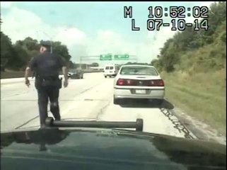 Cop Drags Drunk Fat Idiot Off Highway