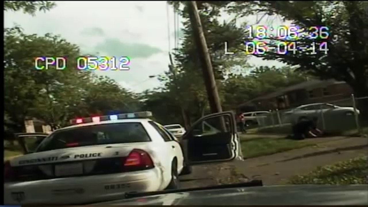 Police Shoot Two Pit Bulls Mauling 6-Year-Old Girl (Graphic)