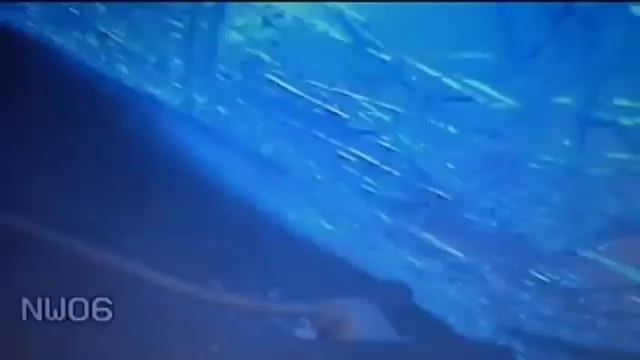 Dashcam Shows Fatal Accident Involving Police Cruiser