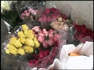 operação casamento - Discovery Home & Health - locução Luiza Viegas