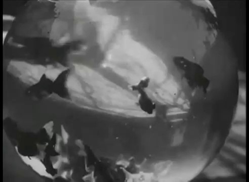 1895 Louis Lumière - Bocal aux Poissons Rouges