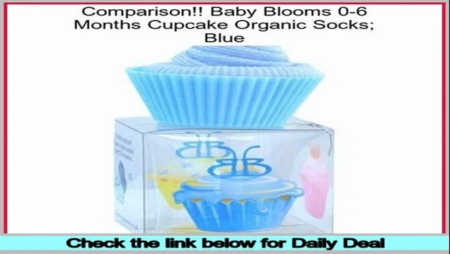 Bargain Baby Blooms 0-6 Months Cupcake Organic Socks; Blue