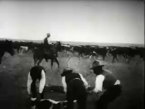 1898 Calf Branding