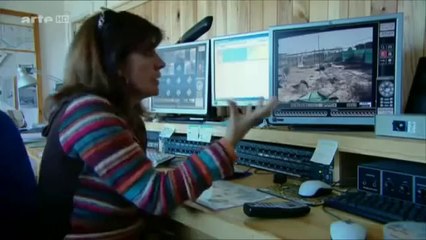 Les animaux et le changement climatiques La savane