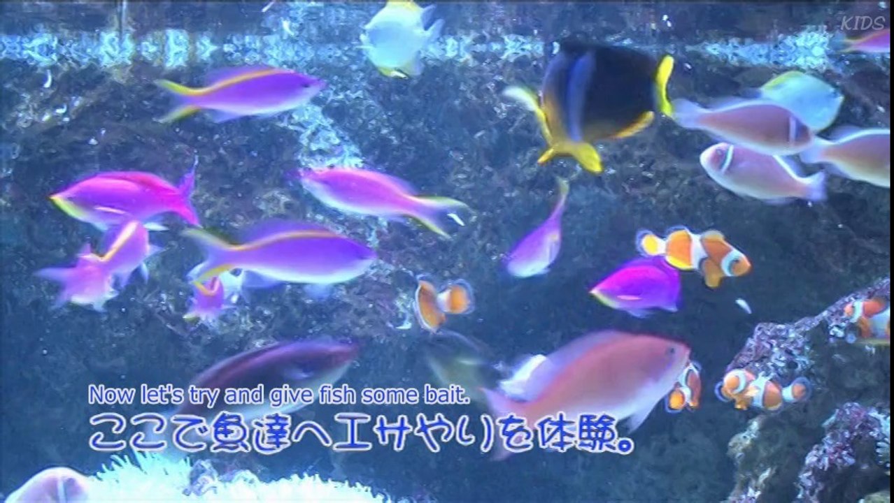 [KIDS] Sudou Maasa & Tsugunaga Momoko - Hello! Channel Aquarium Segment