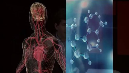 Cinco por ciento - Andy Freire (TED x Río de la Plata - Parte 1)