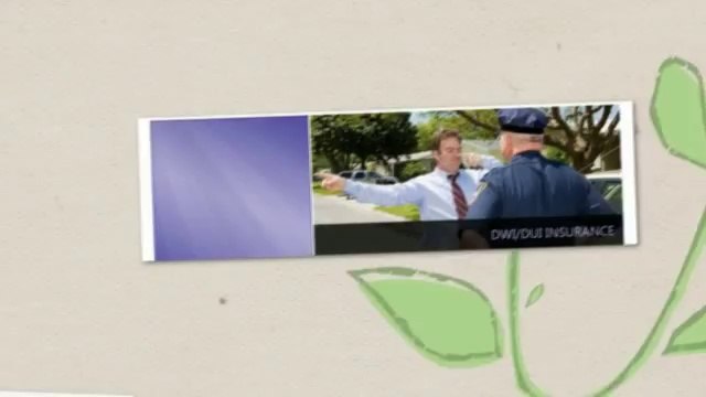 Carolina Capital Insurance Group (919) 747-9002