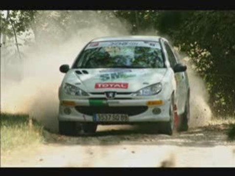 Rallye Terre de Langres 2006 Volant 206