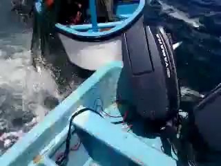 video by Syed Hassan Raza