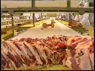 video by Syed Hassan Raza