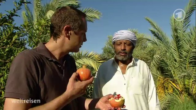 Weltreisen - Oasen in Afrika