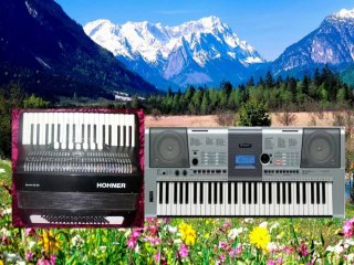 Profesional -Tigan , frumos lautar