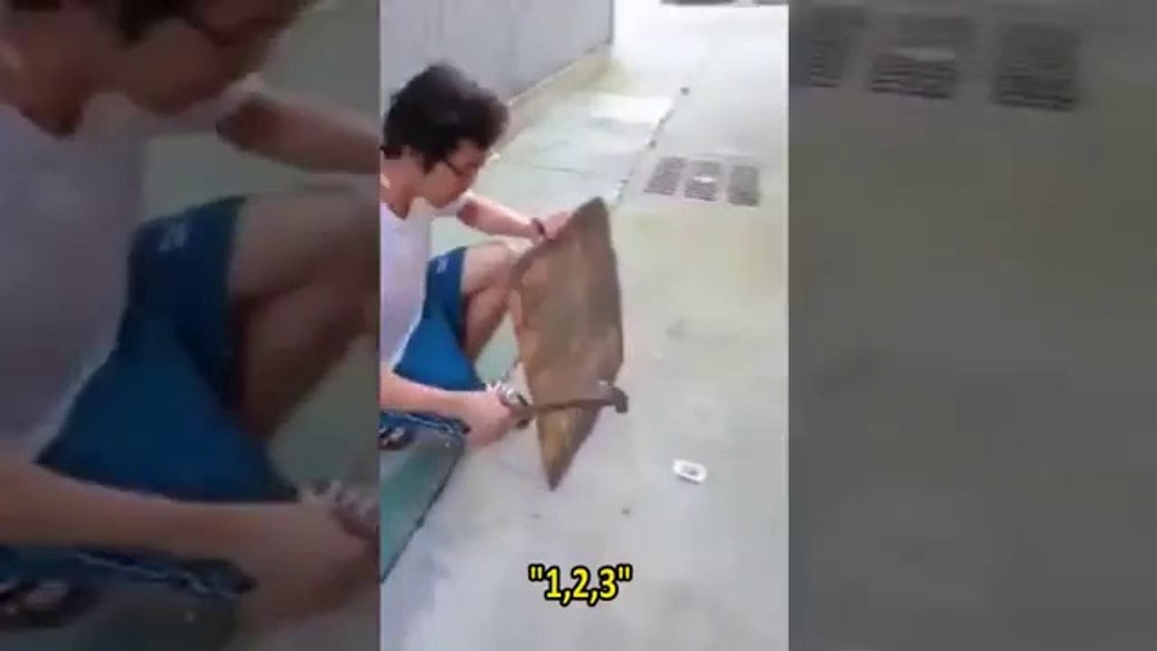 what_happens_when_you_hit_a_cell_phone_battery_with_a_hammer
