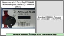 Las mejores ofertas de Grundfos 97533053 - Accesorio para calefacción central (230V)