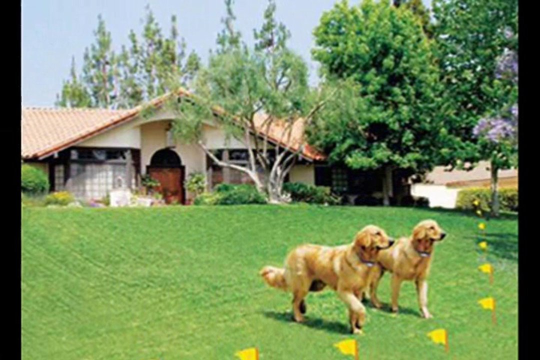 Top Advantages of Wireless Pet Fence