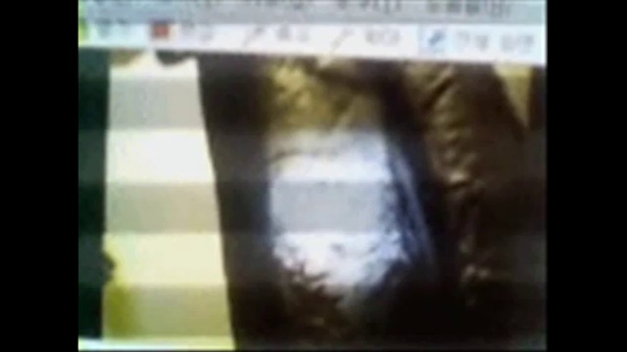 한국귀신동영상3(KOREA GHOST VIDEO3)