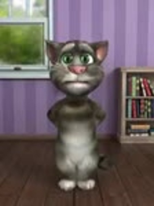 funny cat talk