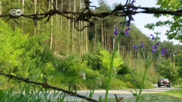 Fünf Meter Vorkriegsluxus: Horch 930 V BJ 1937 | Motor mobil