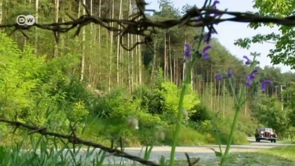 Fünf Meter Vorkriegsluxus: Horch 930 V BJ 1937 | Motor mobil