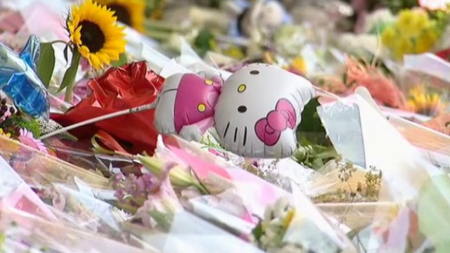 Flight MH17: Victims' bodies flown to the Netherlands