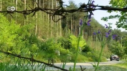 Horch 930 V BJ 1937 | Drive it!