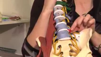 Entorse Lombaire : Causes et traitement de la lombalgie