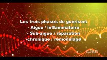 Clinique de physiothérapie : Inflammation Aigu ou chronique