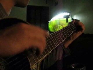 Ritmo avanzato 4 - Giochiamo con dinamica e velocità