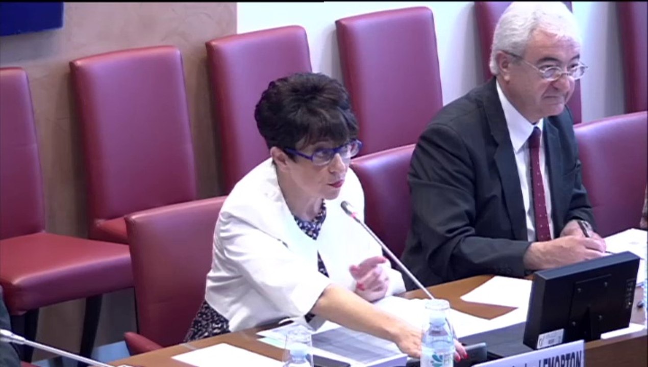 Gisèle Biémouret : intervention en Commission des affaires sociales (23/07/14).
