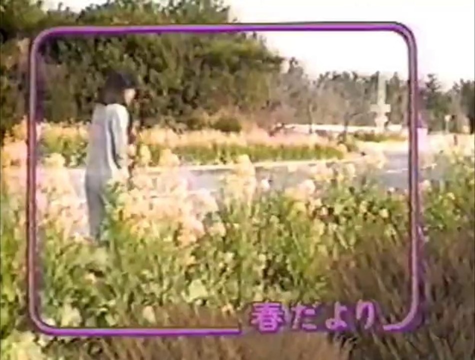 親子で挑戦、日本列島二日間面白鉄道大縦断  (1988)