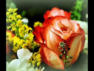 NERİSSSA sana özel  olsun ....Seni Seviyorum