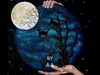 * *   THE IMPOSSIBLE DREAM   * *