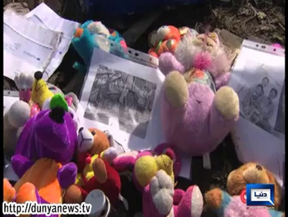 Dunya News- Malaysia Airlines MH17 crash: Families speak of horror at chaotic recovery mission
