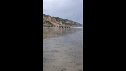 Courses sur la plage du 9 juin 2014