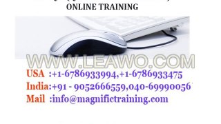 SAP QM Online Training by SAP QM Professional Trainers in India  UK  USA_4
