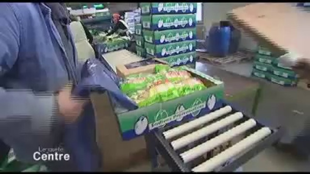 La génodique - Faire pousser les plantes en musique