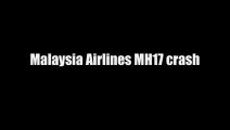 Malaysia Airlines MH17 crash