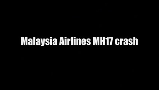 Malaysia Airlines MH17 crash