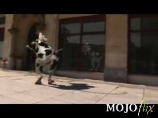 la vache folle!!!ki chante....