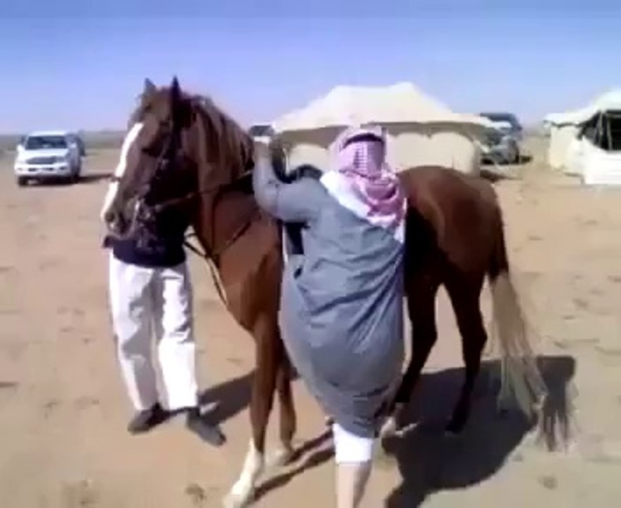 Ata nasıl binilmez..