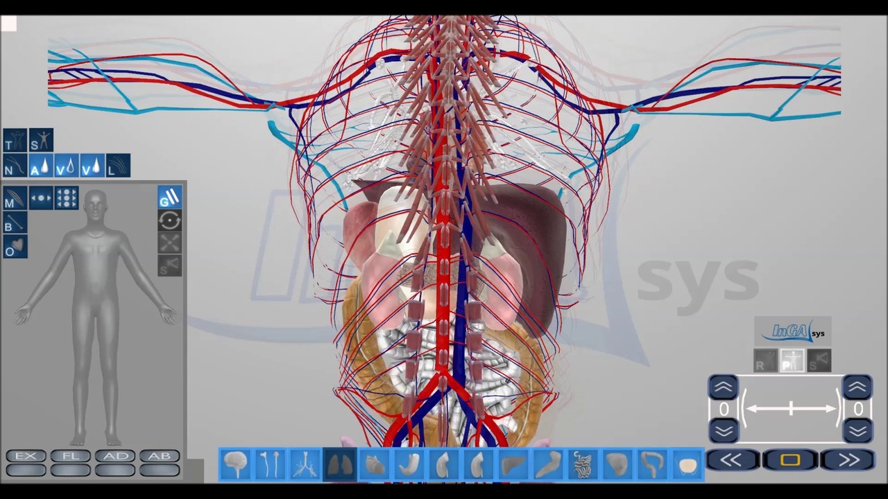 InGAsys Update 18 07 2014 - InGAsys - Intelligente Ganganalyse Software