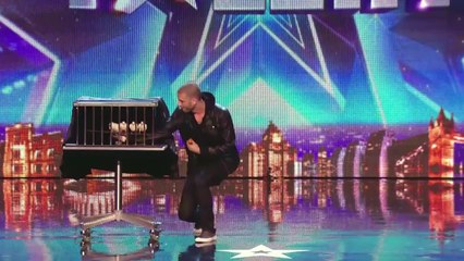 Must Watch - I have Never Seen this Magic, This Man was Awesome