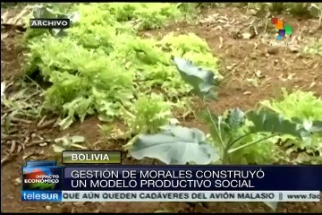 Evo Morales busca reelección en un momento boyante de la economía