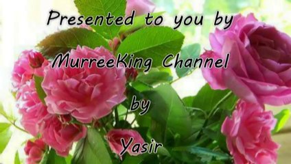 Roshni Chand Se - Bappi Lahiri, Kavita - Agnee Prem (1996) (((Yasir)))